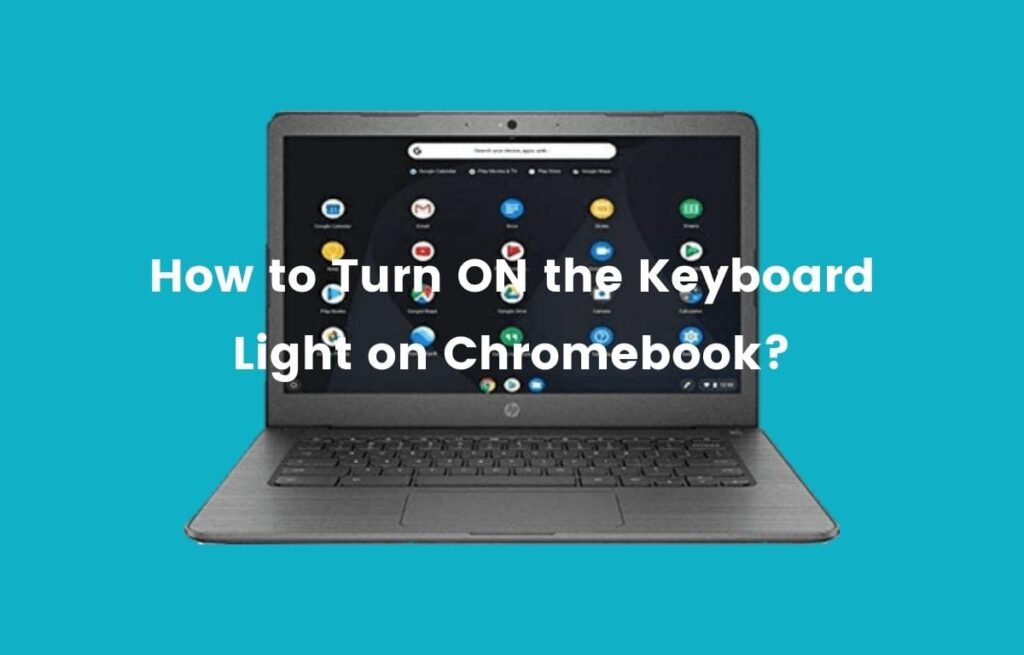 How to Access SD Card on Chromebook? Laptops Papa