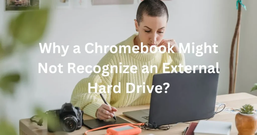 Why is my Chromebook not recognizing external hard drive?