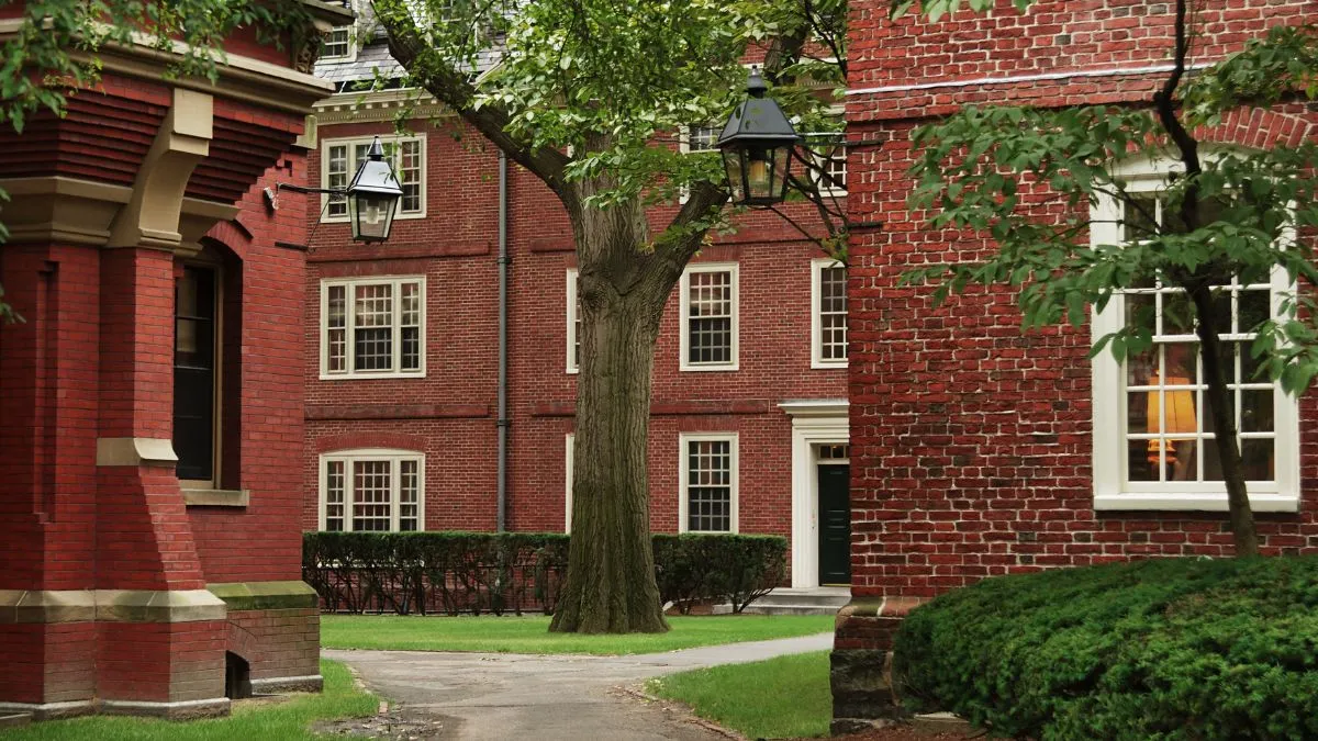 What can affect whether a public or private university is affordable?